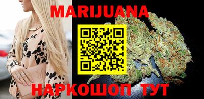 стафф Бердск