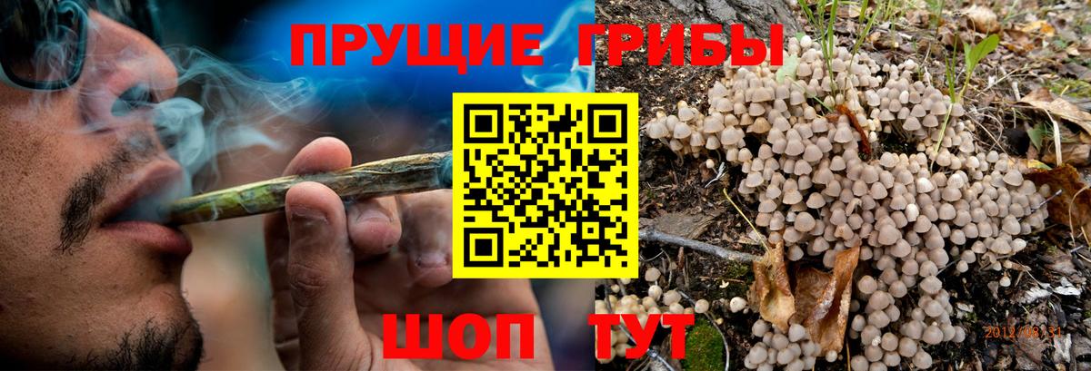 Татарск  Псилоцибиновые грибы Magic Shrooms  Вход с VPN 